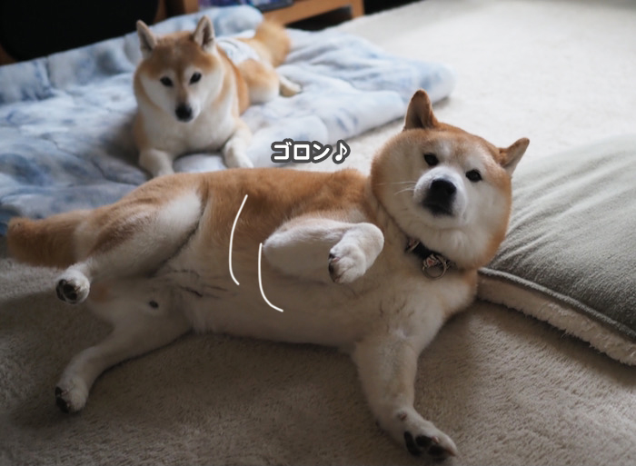 26日ブログ６