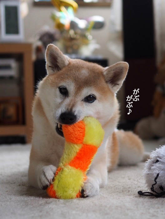 7日夕ブログ４