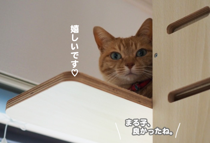5日夕ブログ７