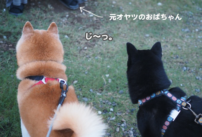25日ブログ5