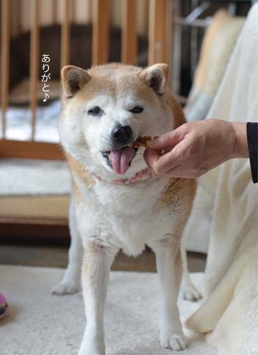 21日ブログ4.jpg