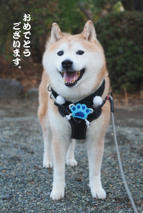 1日朝ブログ２