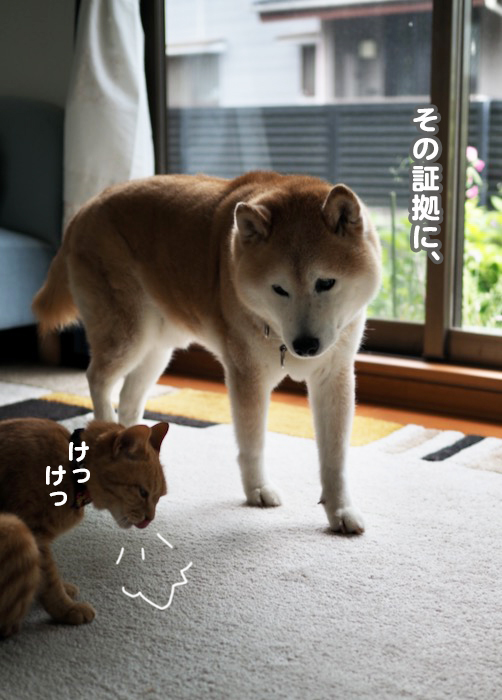 26日夕ブログ５