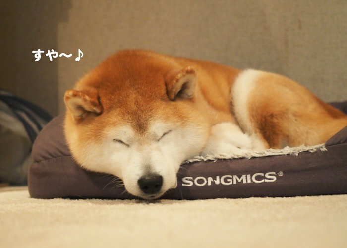 15日夜ブログ４