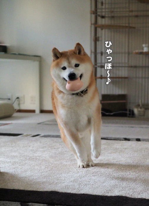 29日夕ブログ４