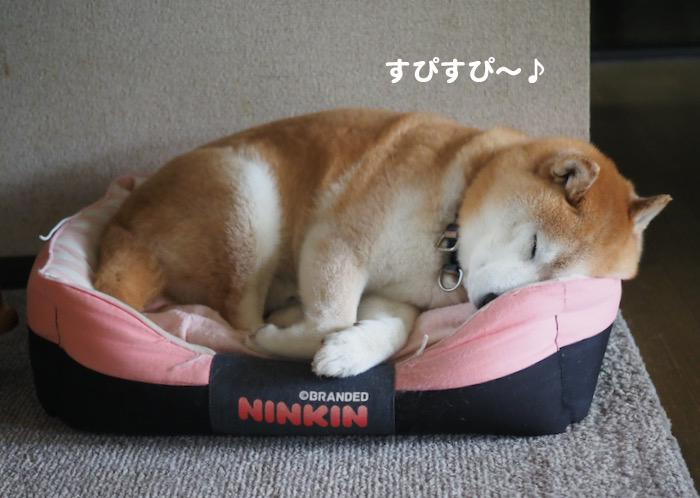 22日夕ブログ２