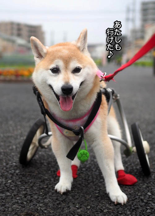 3日夕ブログ５