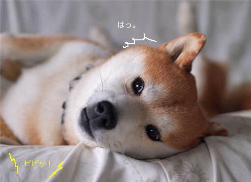 6日ブログ8.jpg
