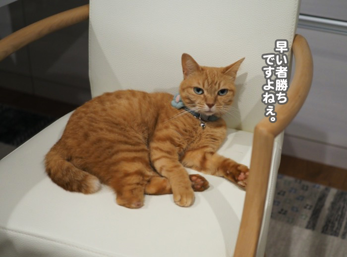 15日夕ブログ２