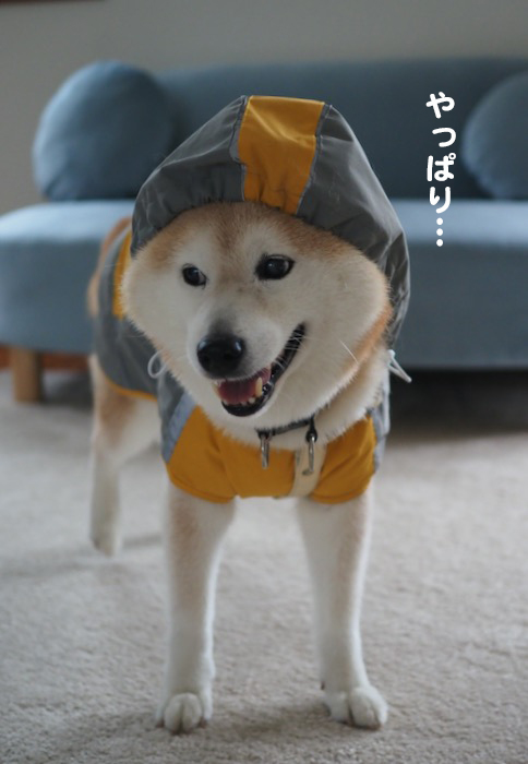 28日夕ブログ２