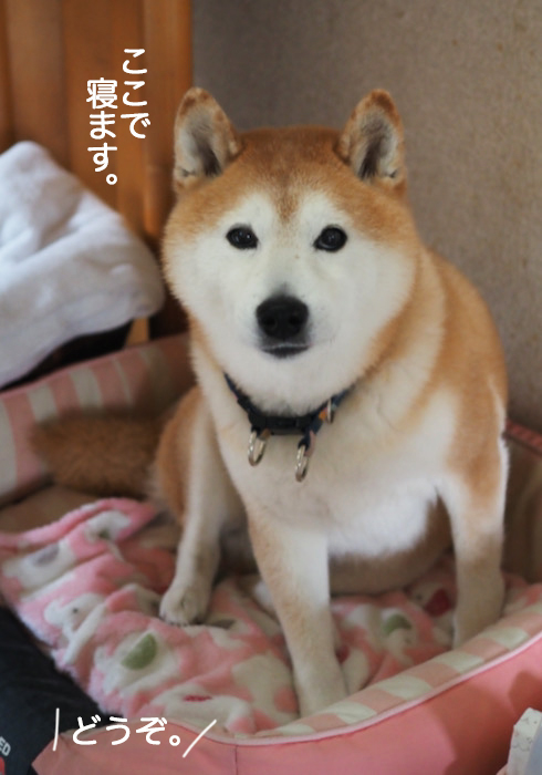 13日ブログ４