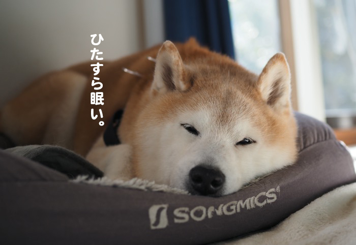 24日夕ブログ４