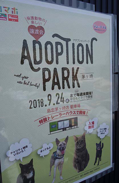 4日ブログ3