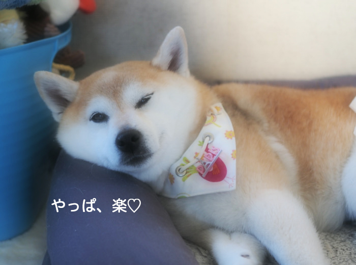 28日ブログ４