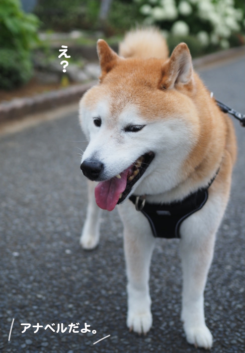 13日ブログ２