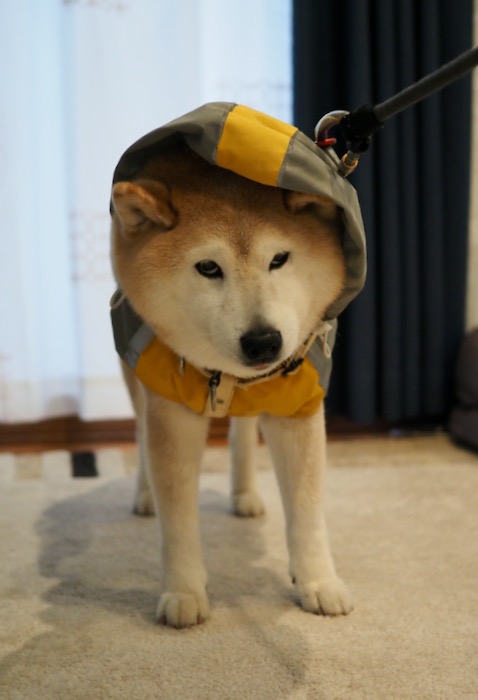 16日ブログ３