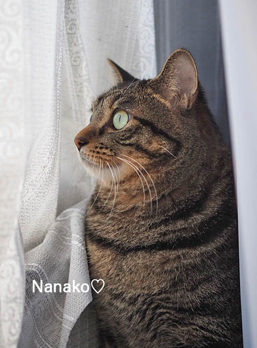 29日夕ブログ１０
