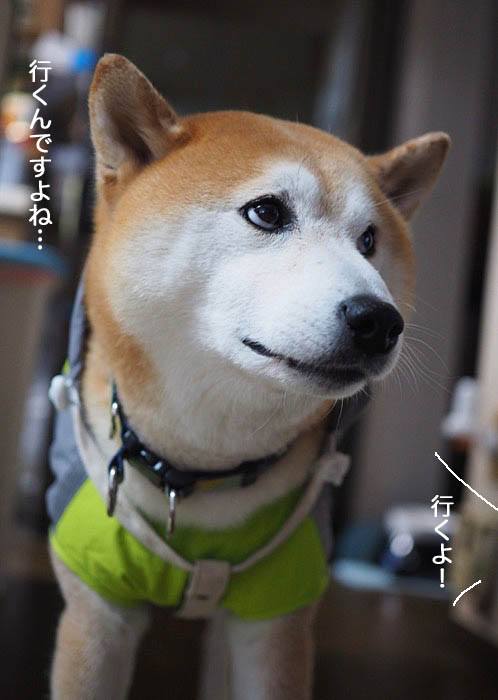 30日夜ブログ３