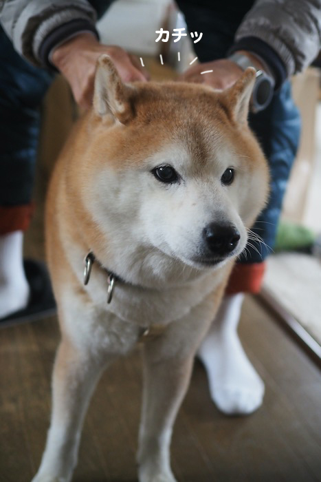 6日ブログ３