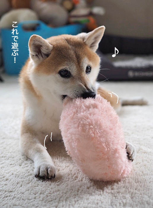 18日午後ブログ２
