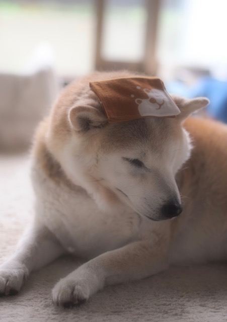 23日コンテスト1