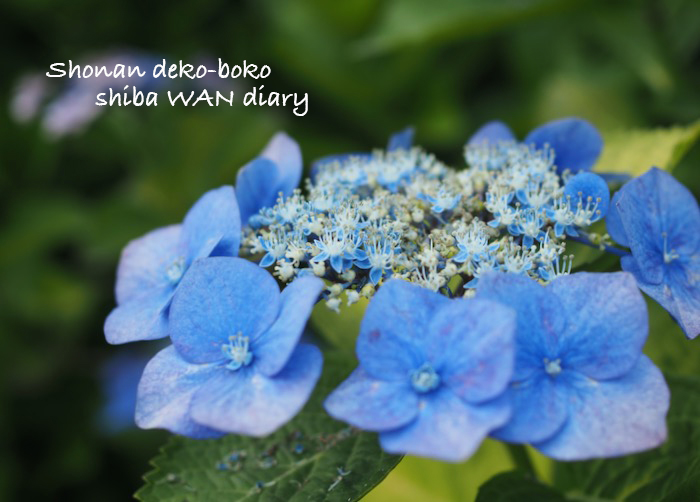 25日夕ブログ１