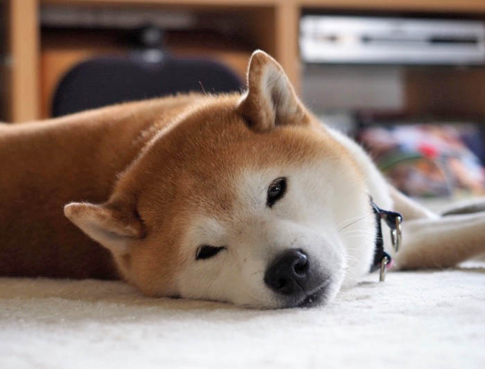 12日ブログ４