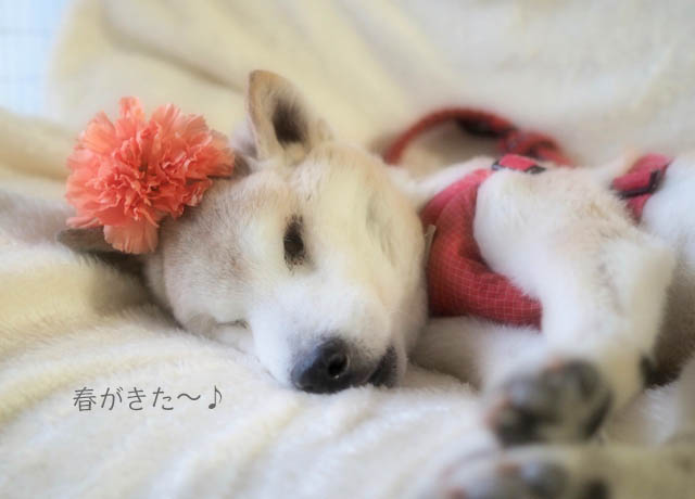23日ブログ5