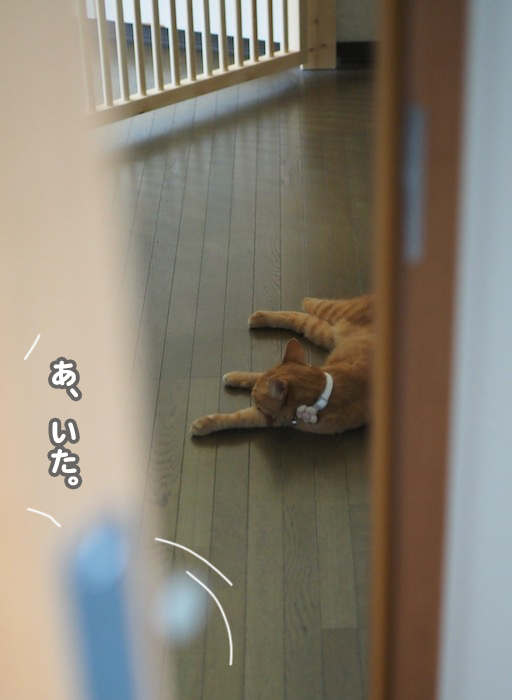 4日夕ブログ２