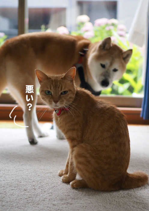 16日ブログ２