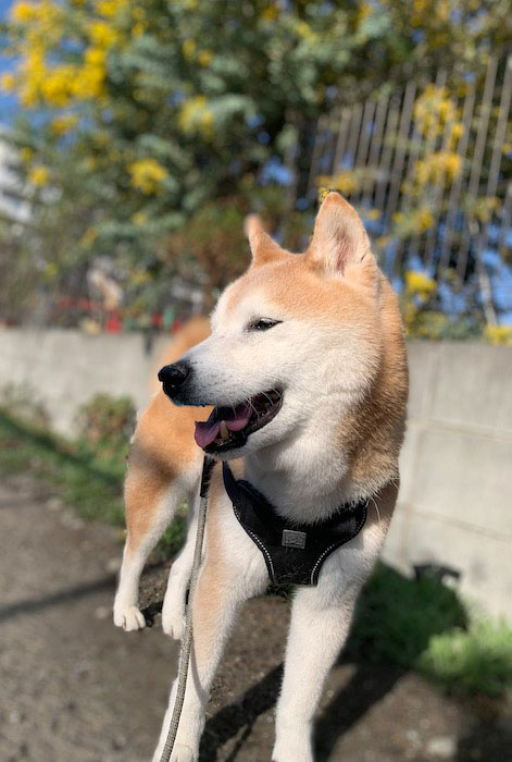 6日夕ブログ２