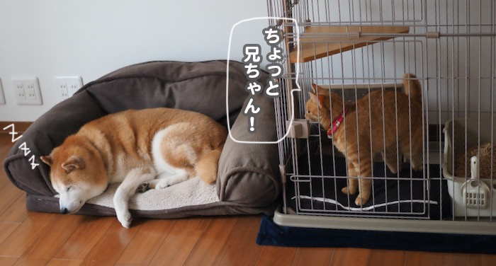 5日ブログ２