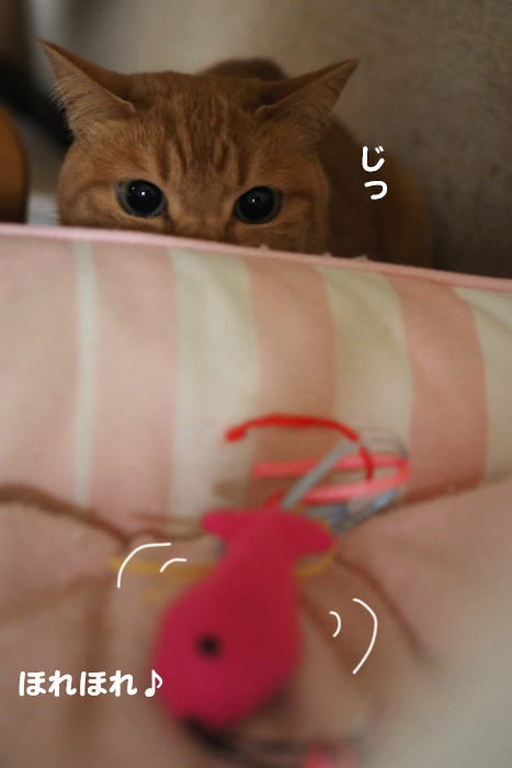 25日夕ブログ２