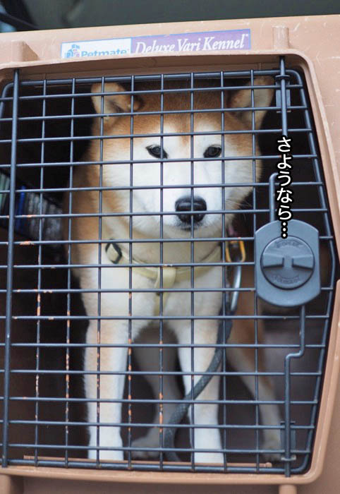 25日ブログ８