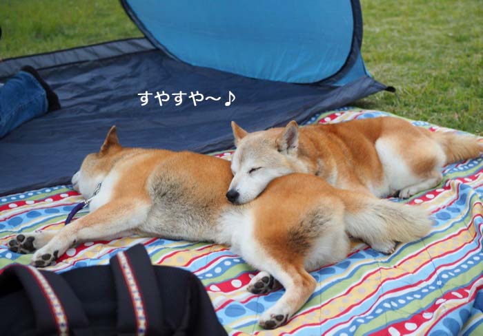 13日夜ブログ１０