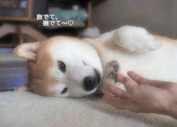 15日ブログ３
