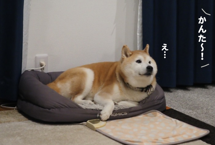 15日夕ブログ2