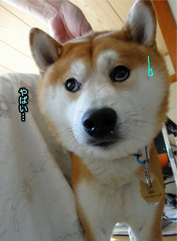 23日ブログ8.jpg