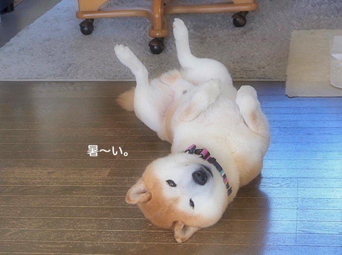 21日ブログ２