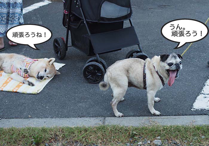 21日午後ブログ３