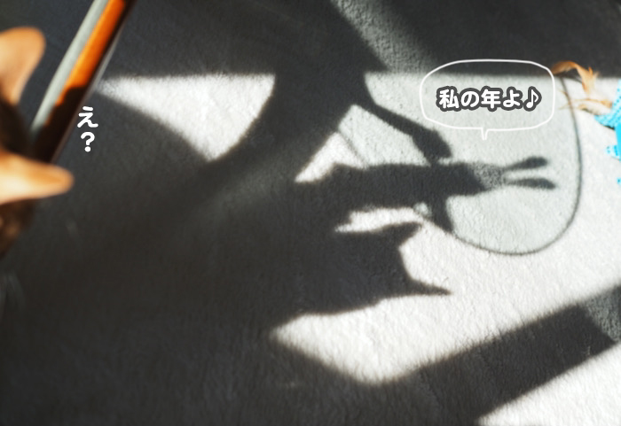 30日ブログ１