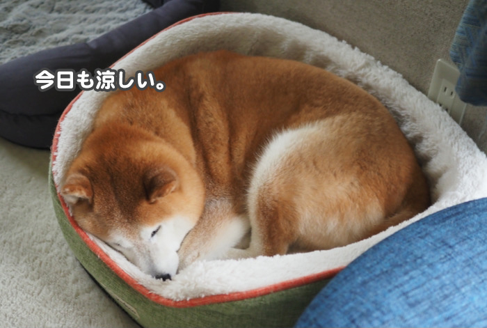 16日夕ブログ５