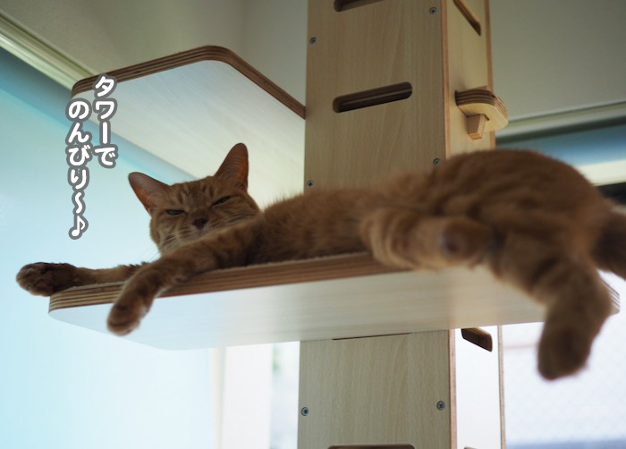 18日夕ブログ２