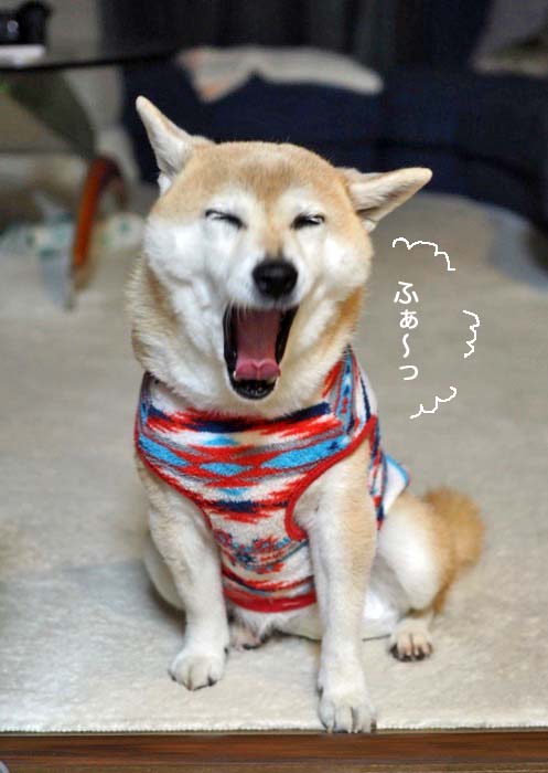 17日ブログ１