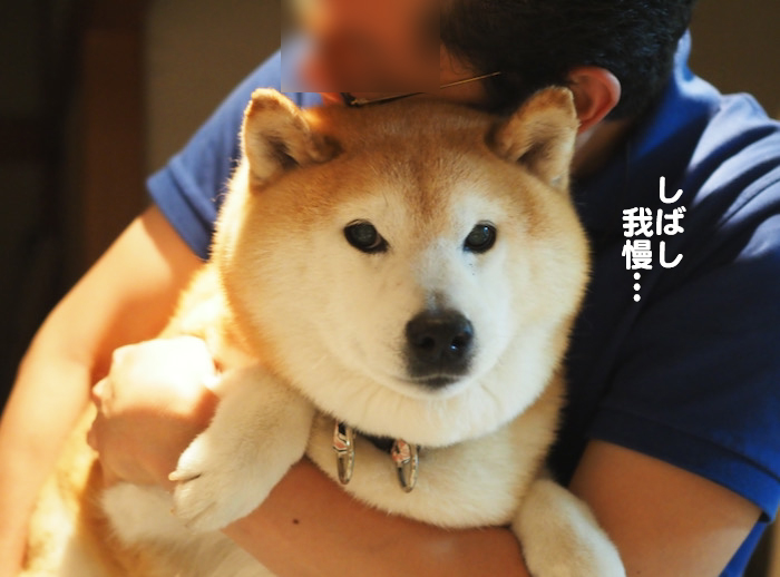 14日ブログ3