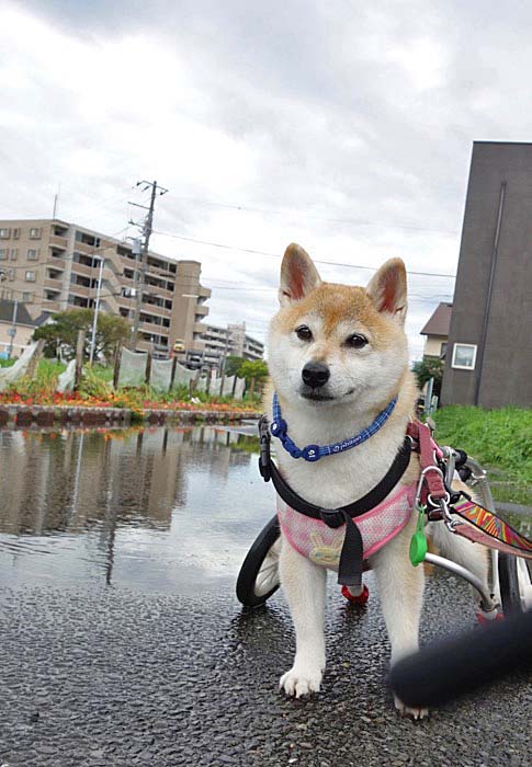 9日朝ブログ３