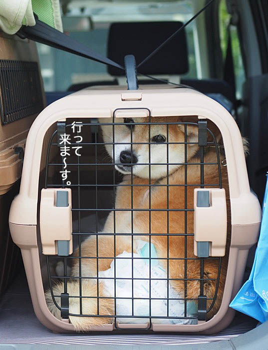 13日午後ブログ７