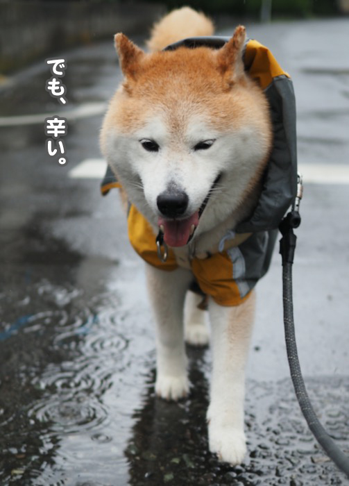 3日ブログ４