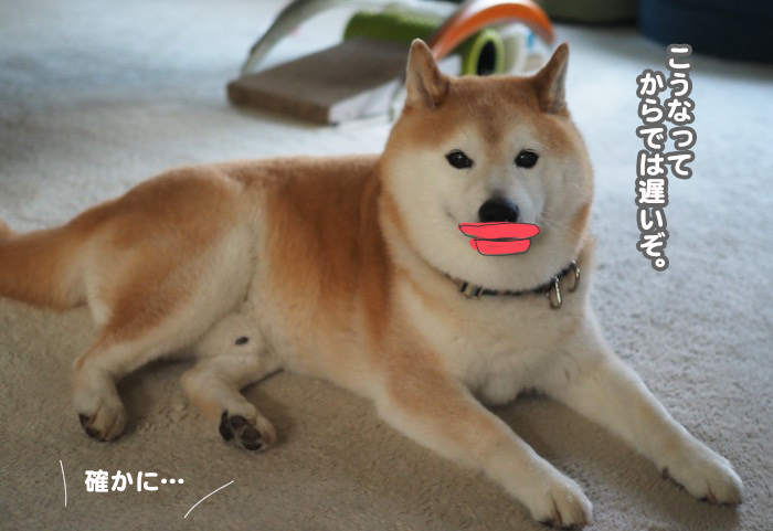 31日ブログ４