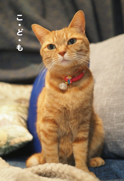 6日夕ブログ６